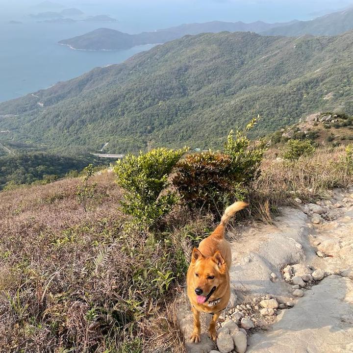 South Lantau Island Guide: Sunset Peak Hike