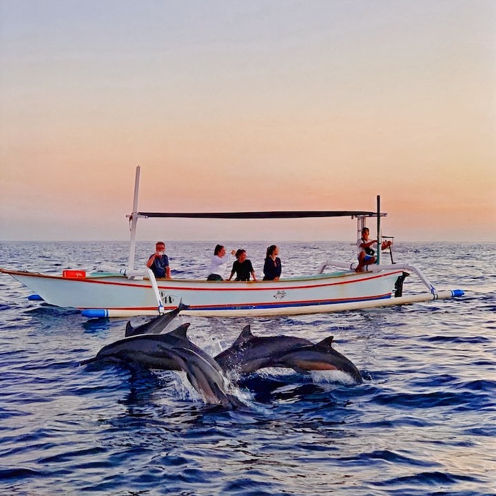 bali resort lovina dolphin watching