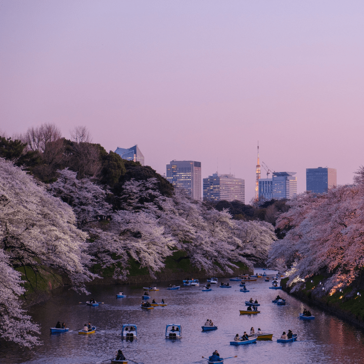 Quick Flights From Hong Kong: City Break Tokyo Japan