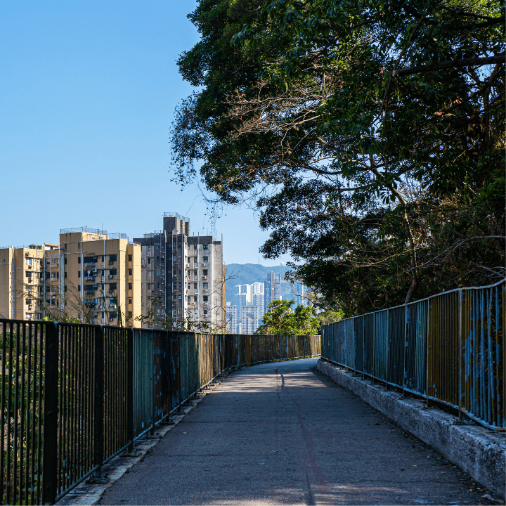 Short Hiking Trails Hong Kong: Wan Chai Green Trail